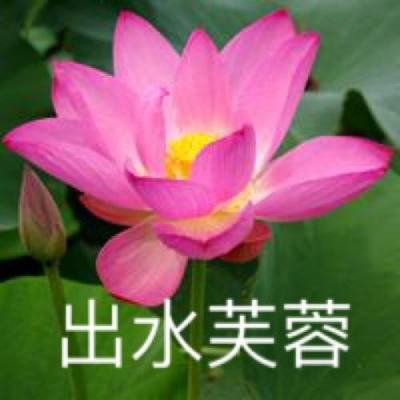 “哈达”香格里拉农特产品生活体验馆在杨浦开业！